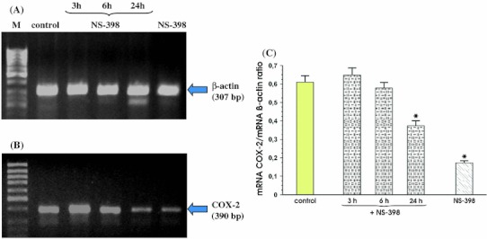 Fig. 6