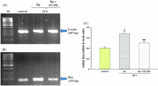 Fig. 7