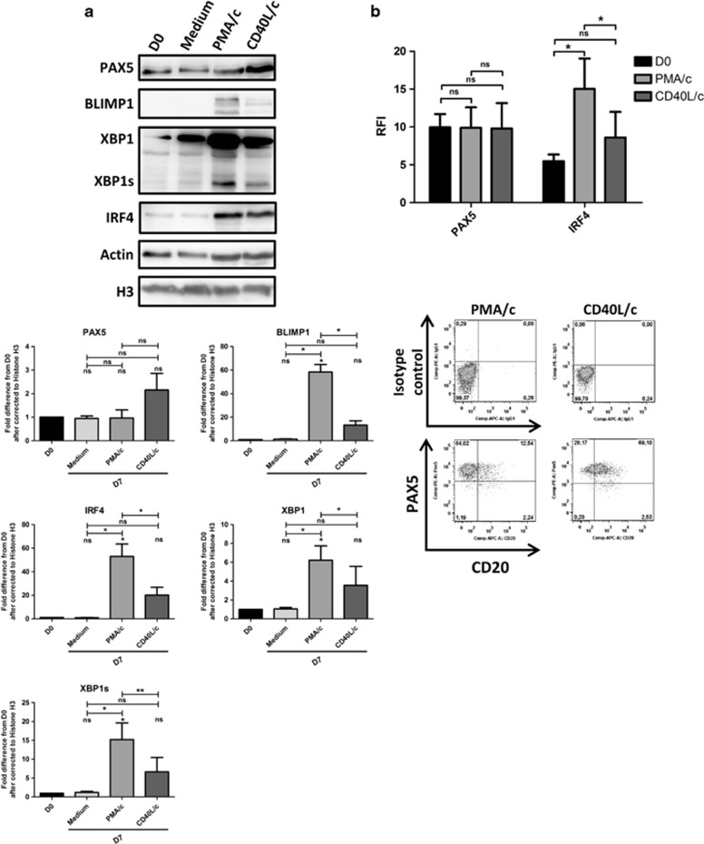 Figure 7