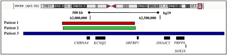 Fig. 2