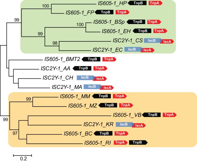 FIG 5