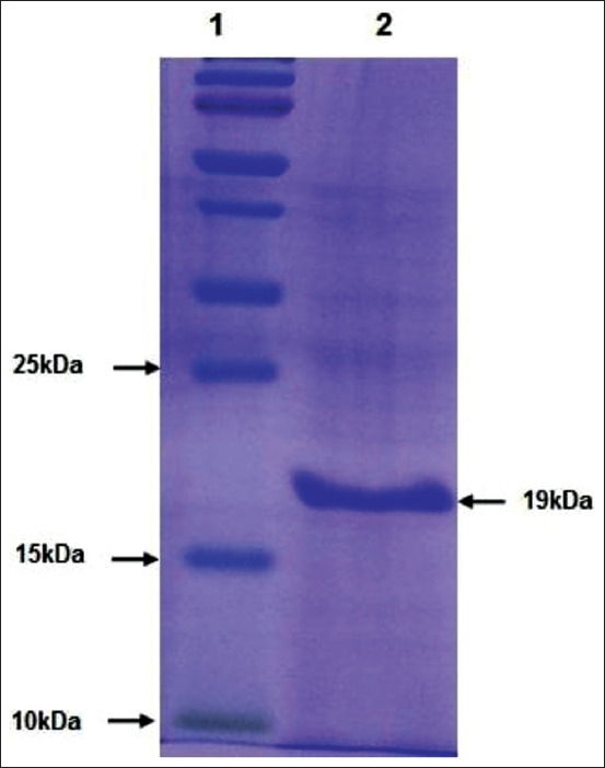 Figure-4