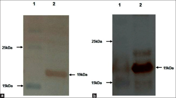 Figure-3