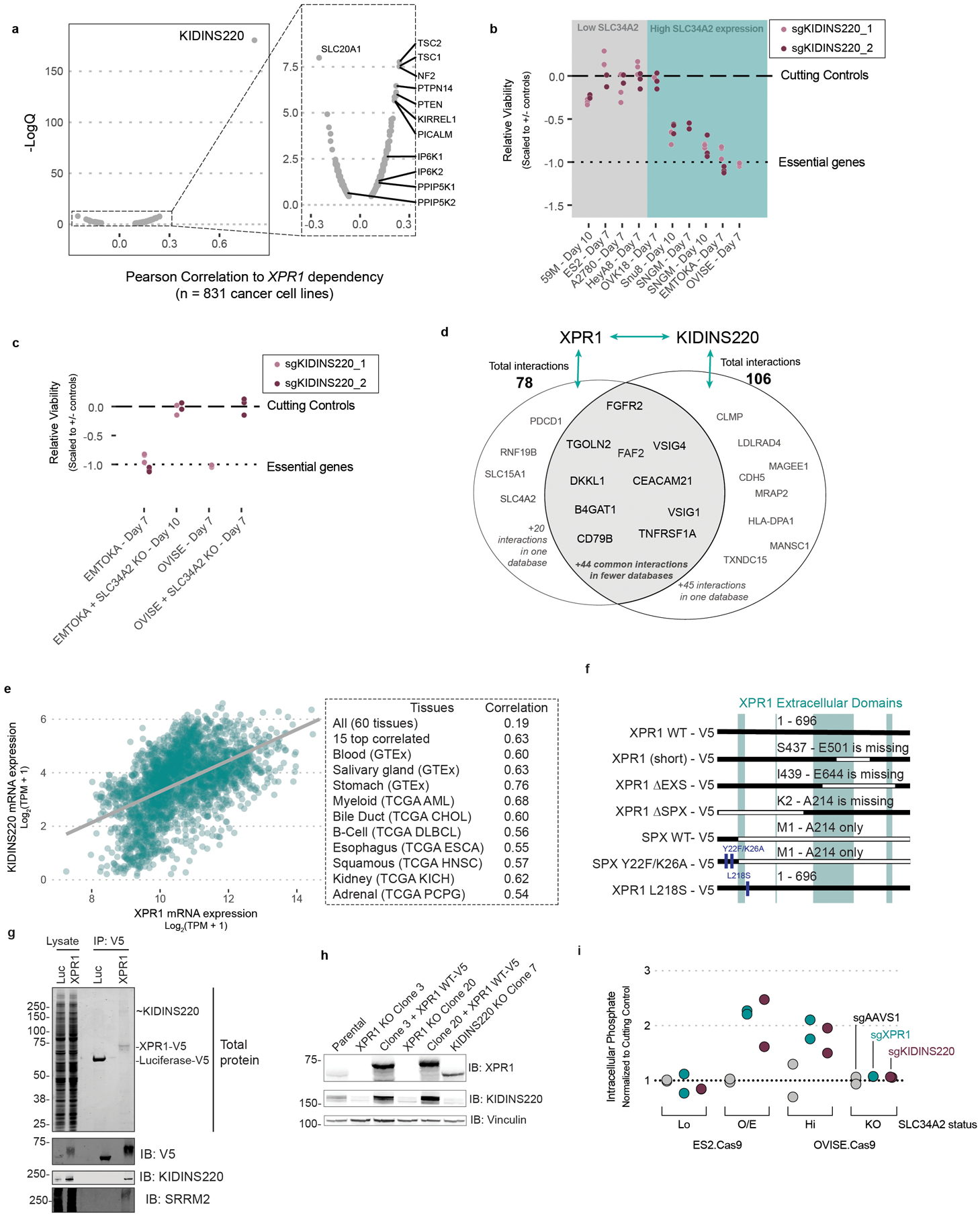 Extended Data Fig. 9