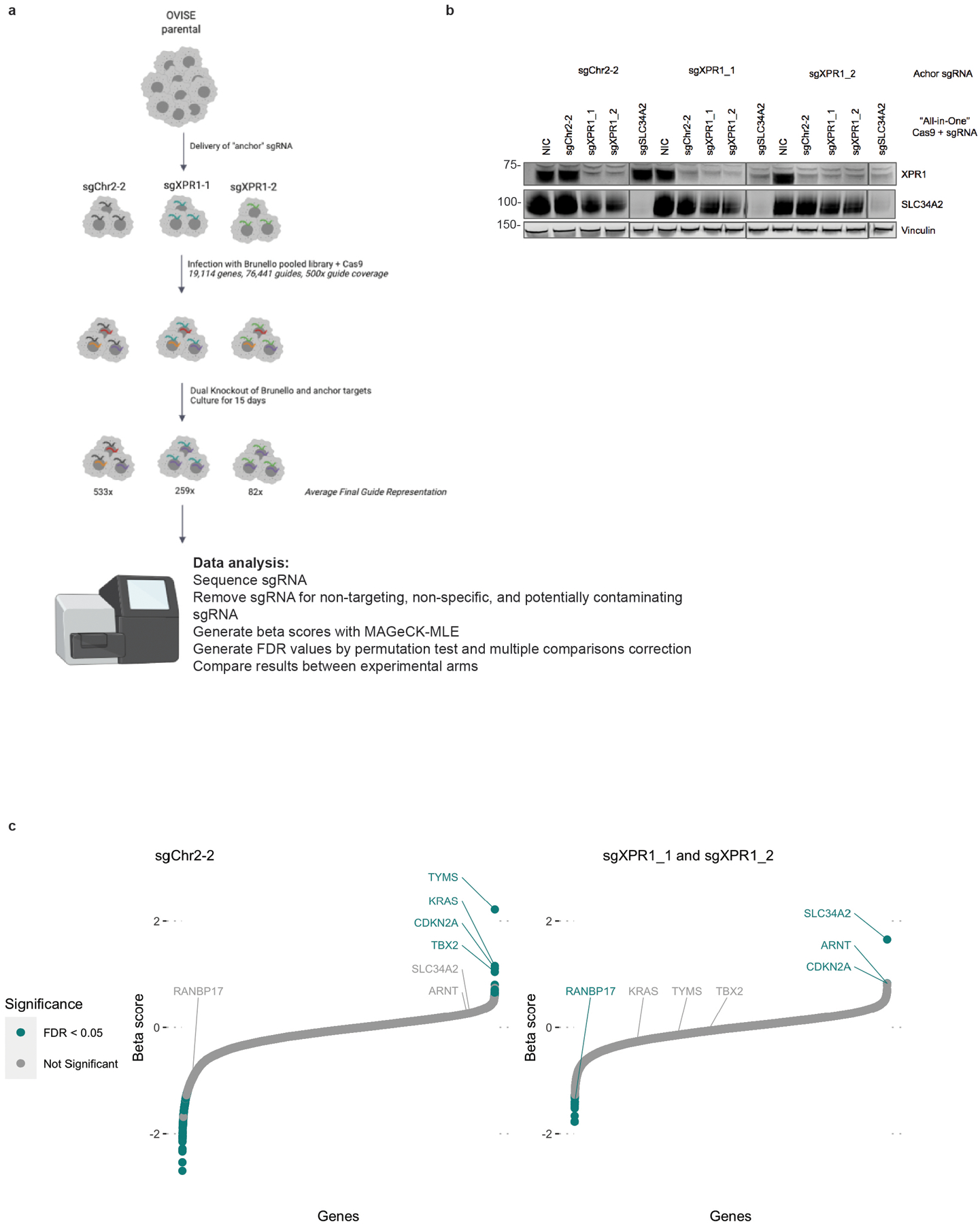 Extended Data Fig. 5