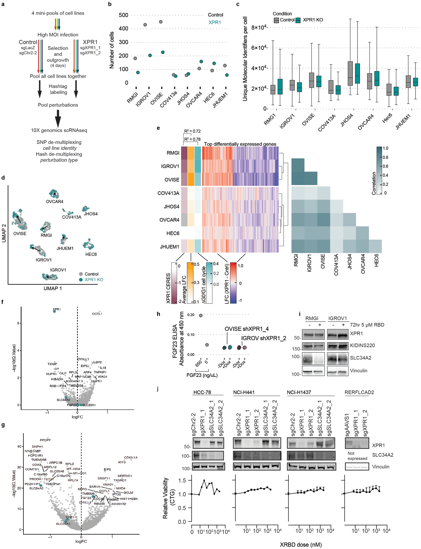 Extended Data Fig. 7