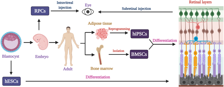 Figure 2