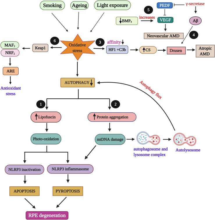 Figure 1