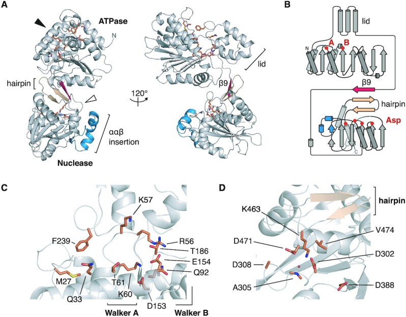 Figure 2.