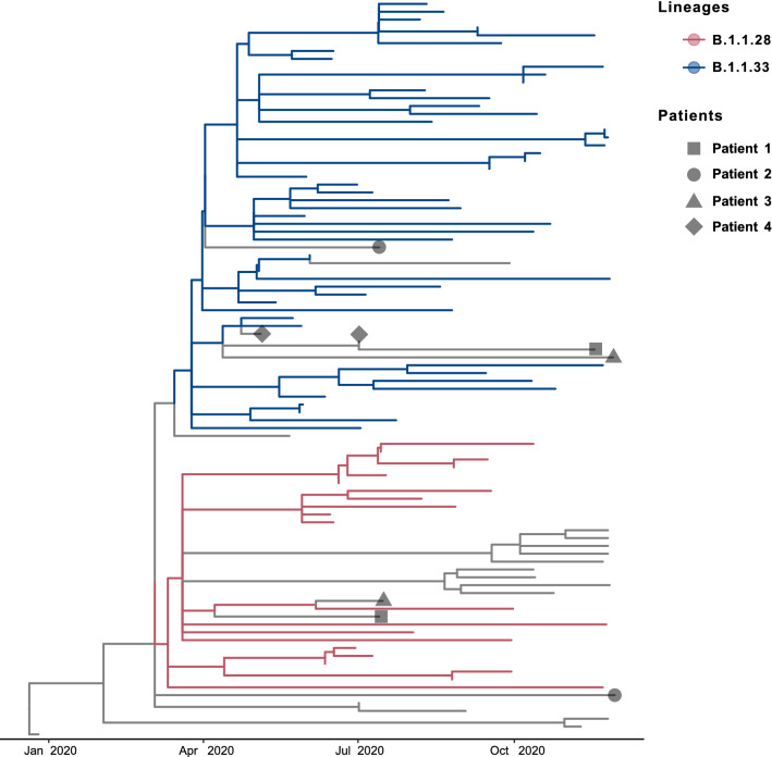 Fig. 1