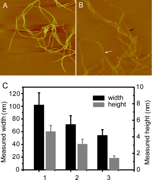 FIGURE 4.