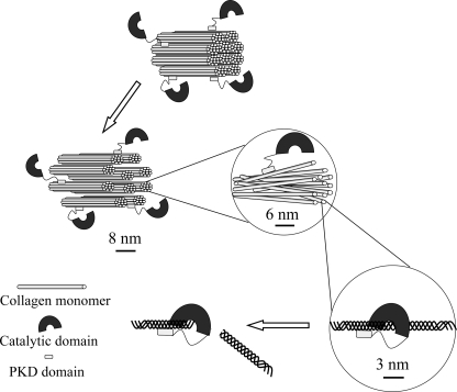 FIGURE 9.