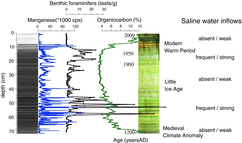 Fig. 3