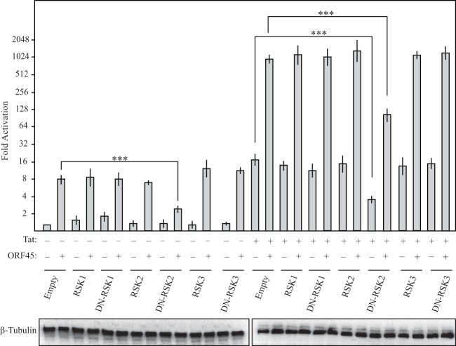 FIG 6