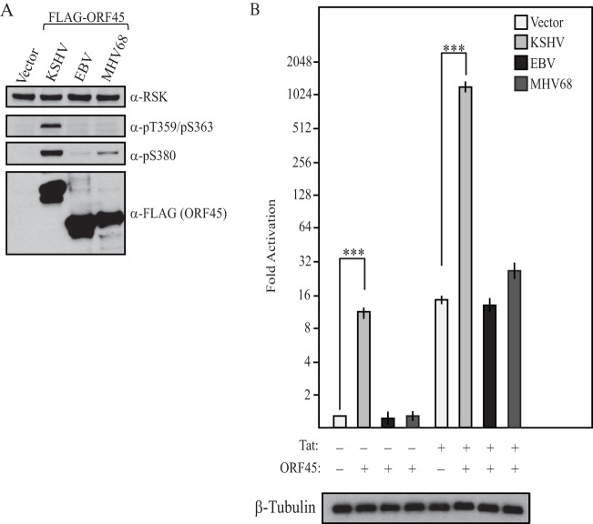 FIG 8