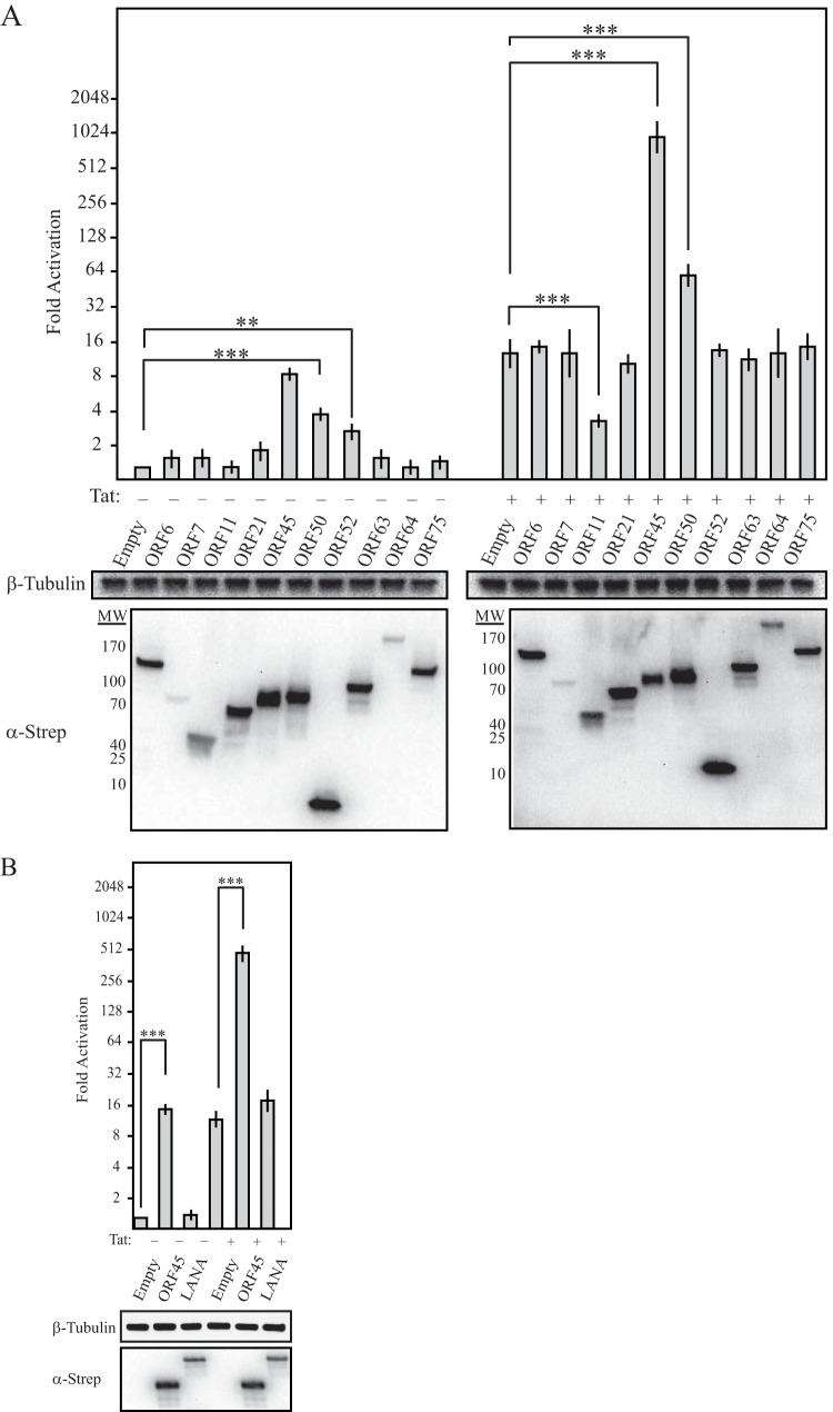 FIG 2