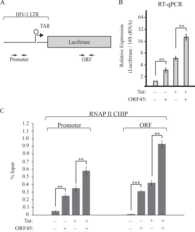 FIG 4