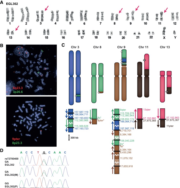 Figure 3.