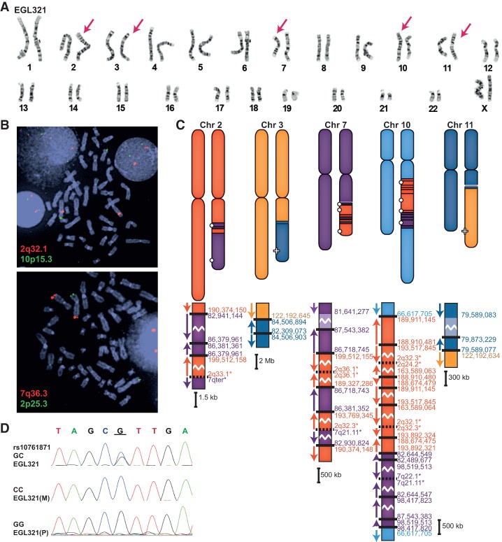 Figure 4.