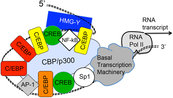 Fig. 3.