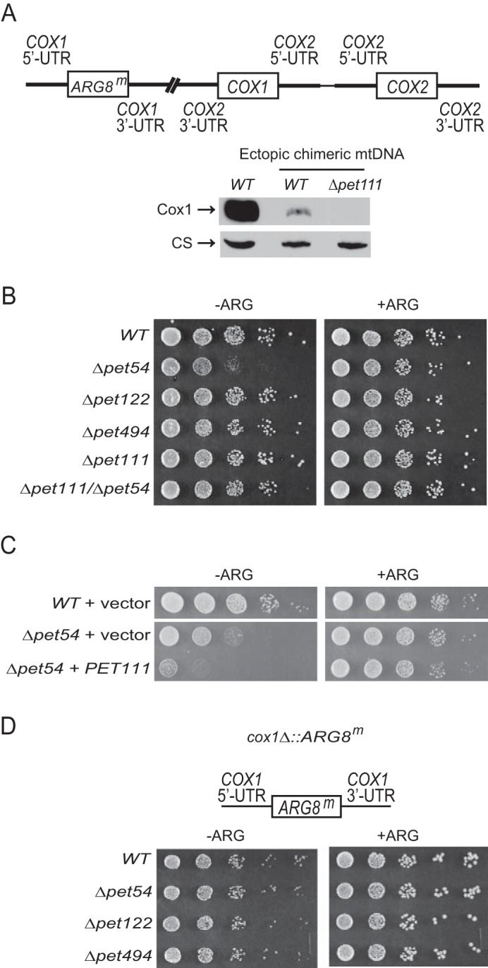 FIGURE 3.