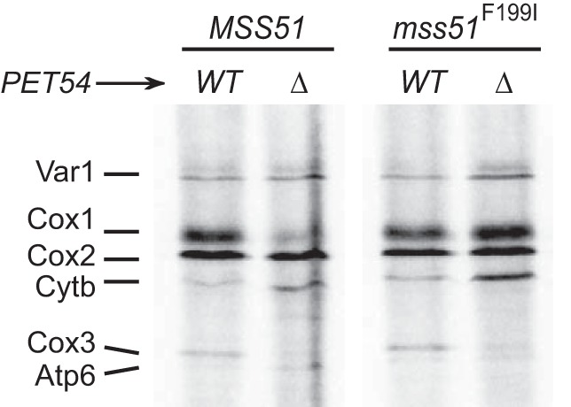 FIGURE 9.