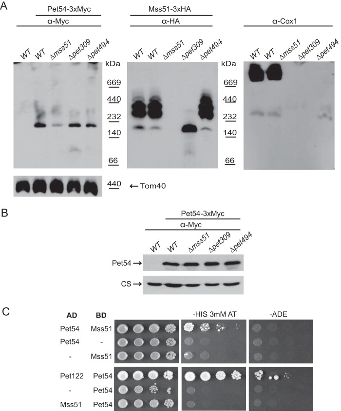 FIGURE 6.