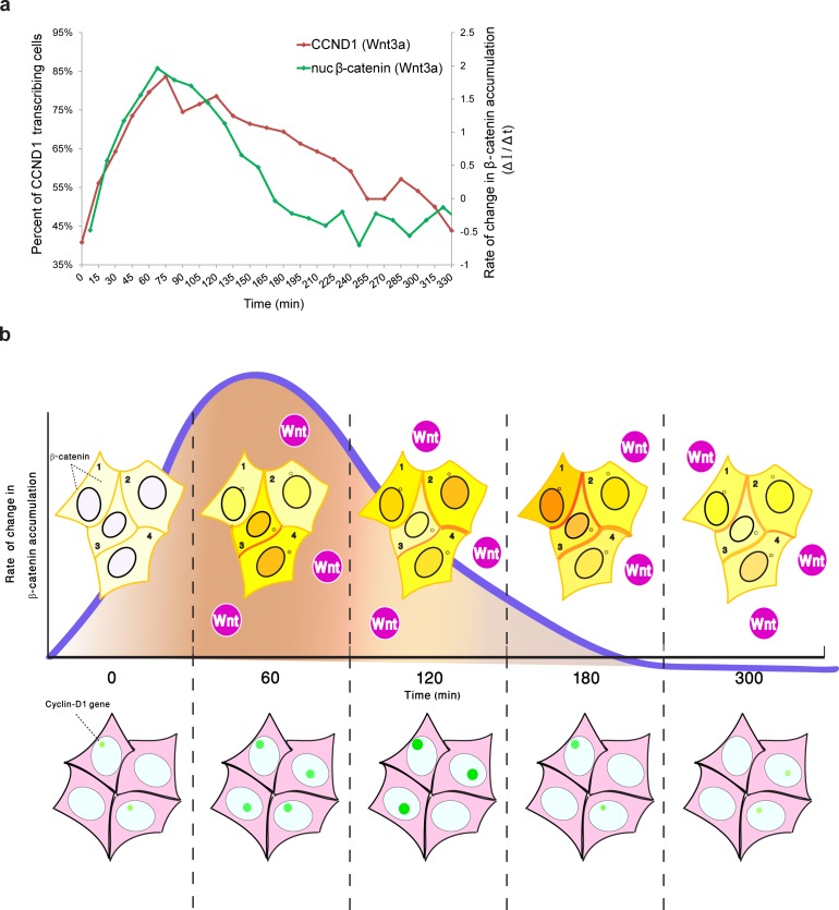 Figure 9.