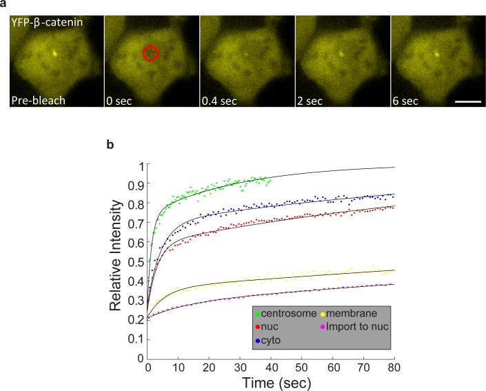 Figure 6—figure supplement 2.