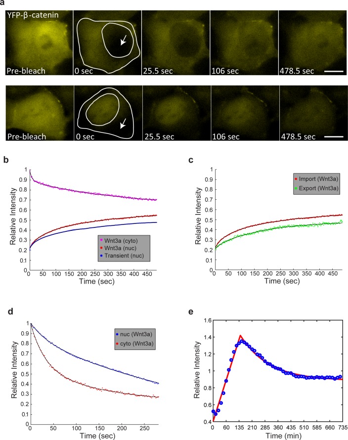 Figure 2—figure supplement 1.