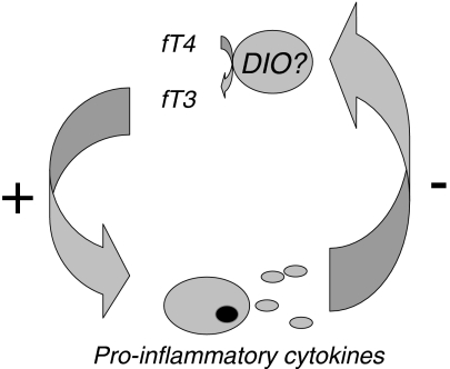 Fig. 2