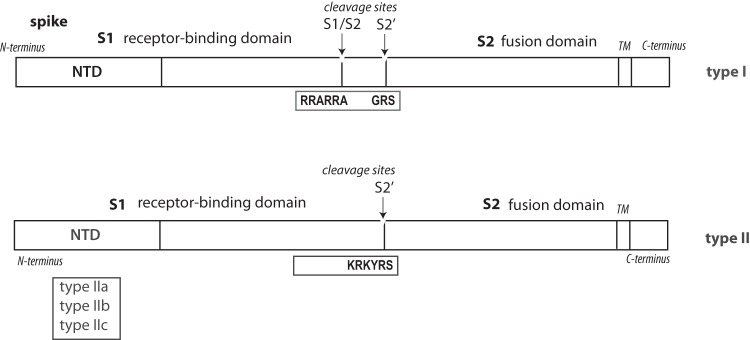 FIG 1