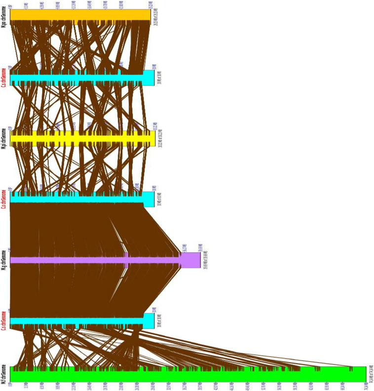 Fig. 3