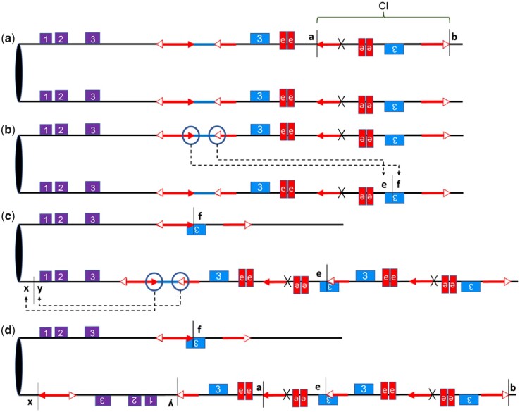 Fig. 4.