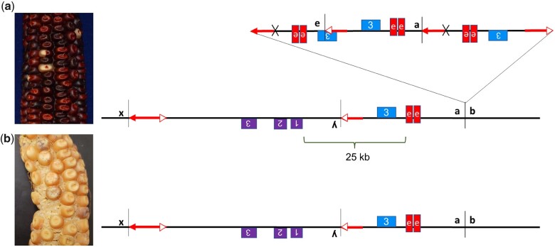 Fig. 5.