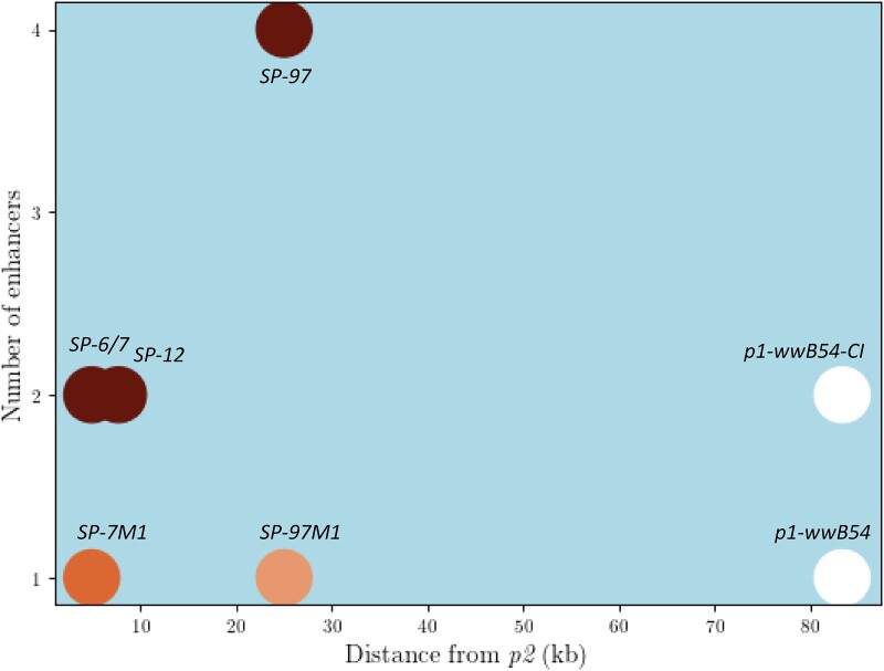 Fig. 8.