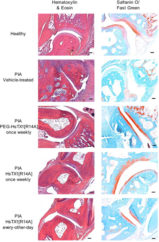 Fig. 9