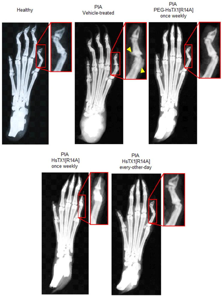 Fig. 8