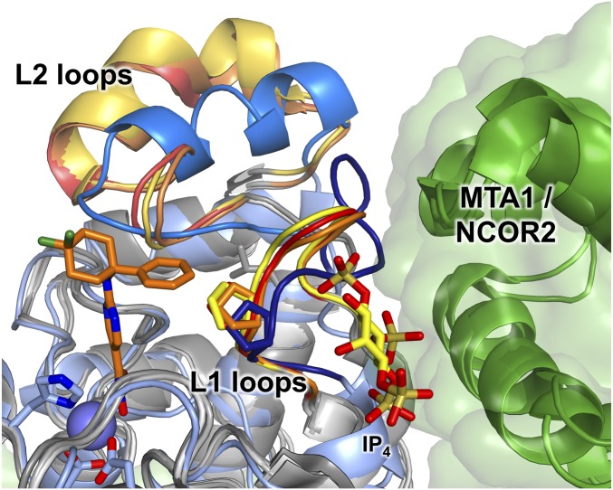 Fig. 6.