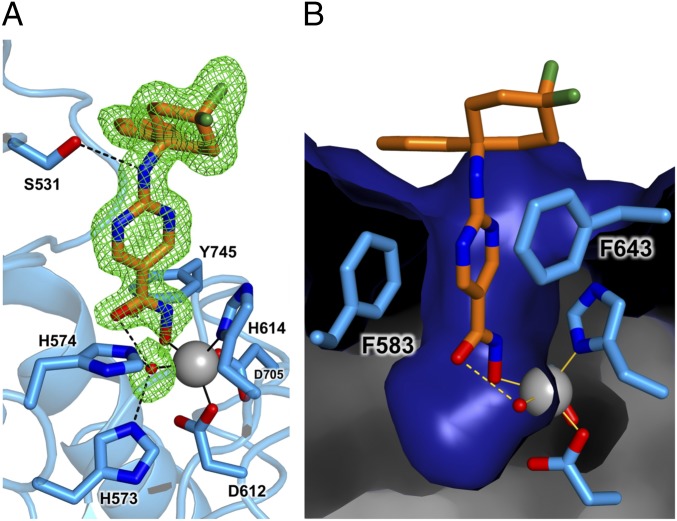 Fig. 2.