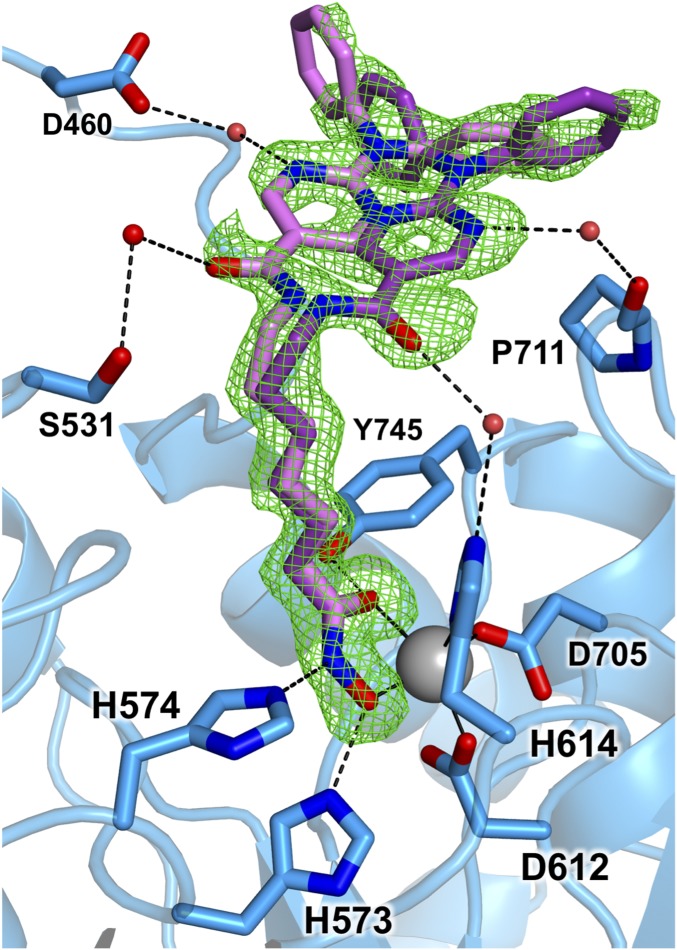 Fig. 3.