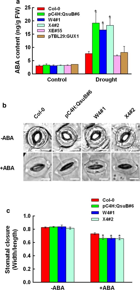 Fig. 3