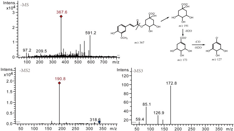 Figure 9