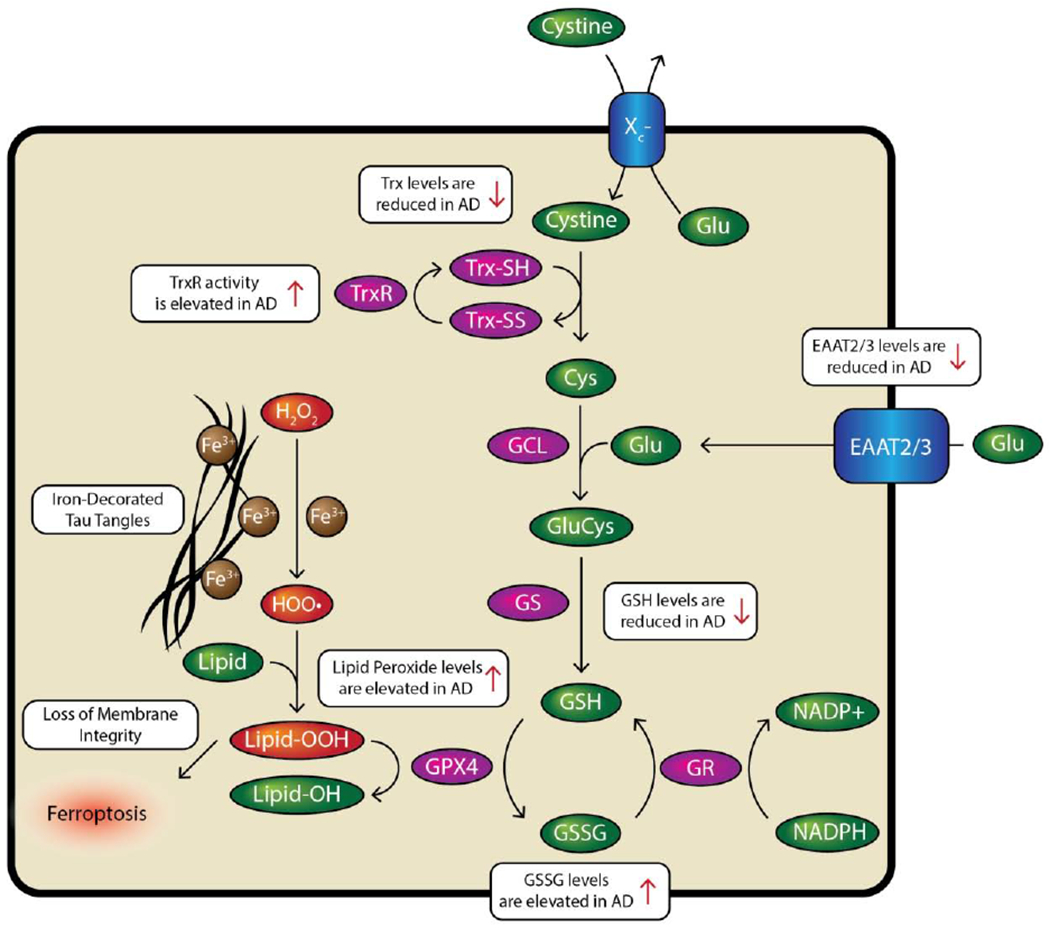 Figure 6.