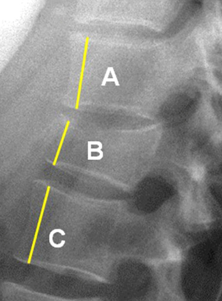 Fig. 2.