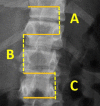 Fig. 3.