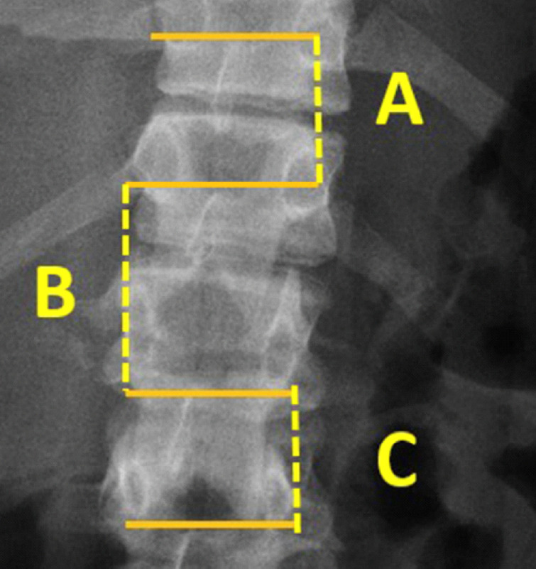 Fig. 3.