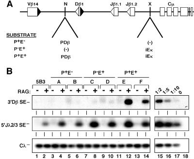 Fig 1.