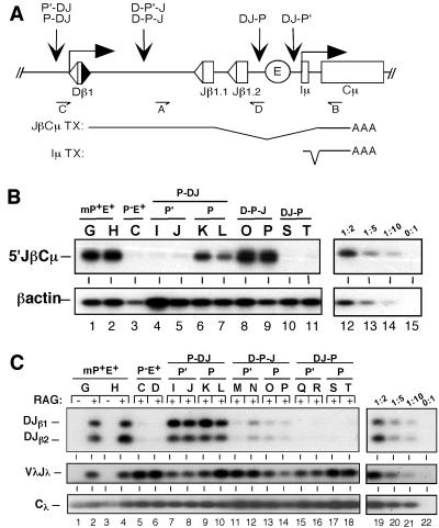 Fig 2.