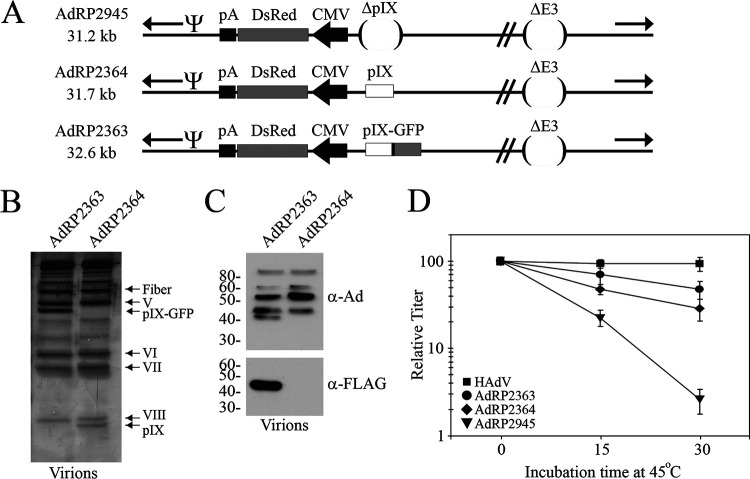 FIG 2